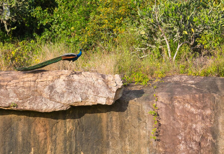 Valerie's Adventure Time | Kakadu vs Litchfield: Choosing the Ideal Australian National Park Adventure