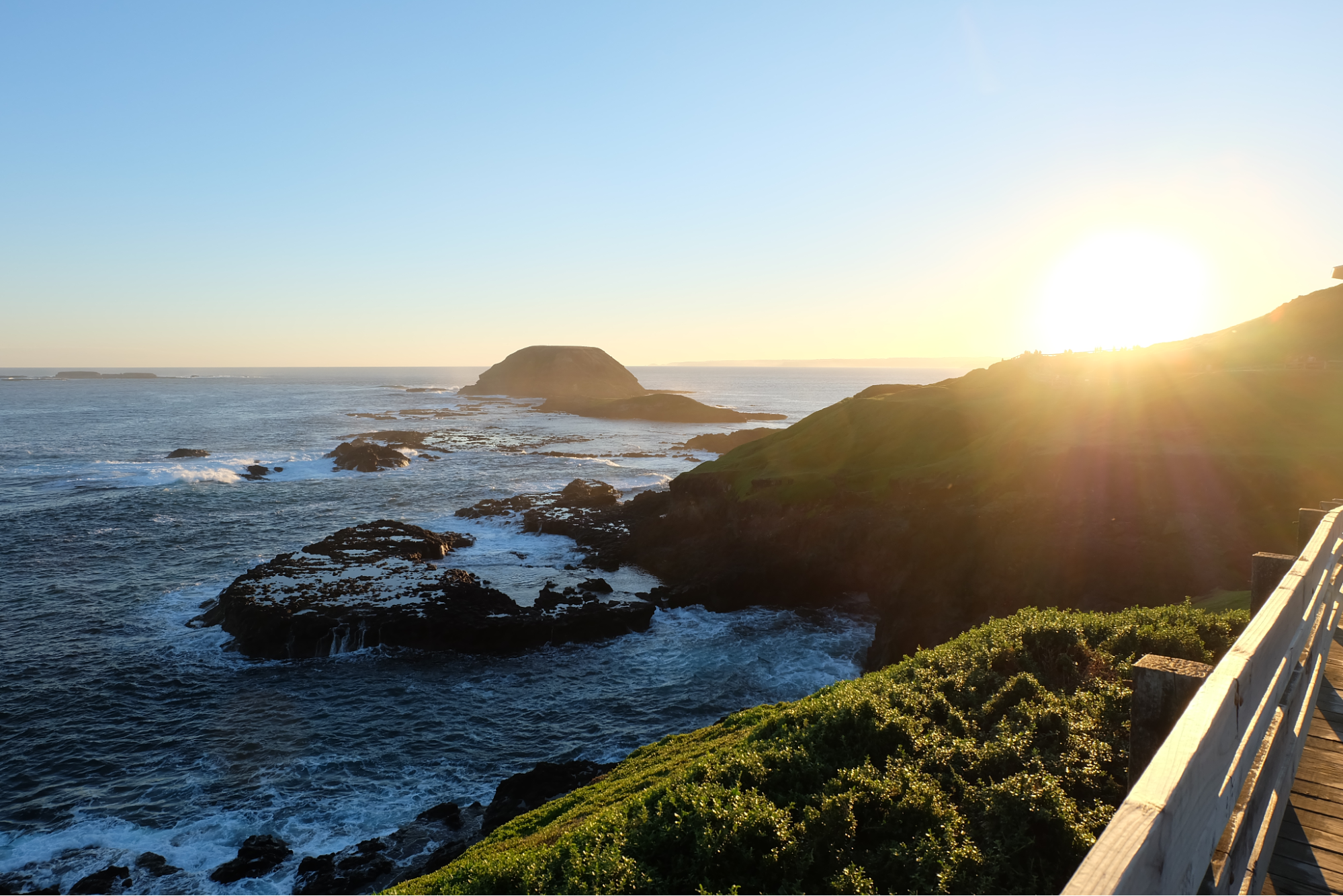 Valerie's Adventure Time | Discover Phillip Island: Penguins, Wildlife & Scenic Attractions