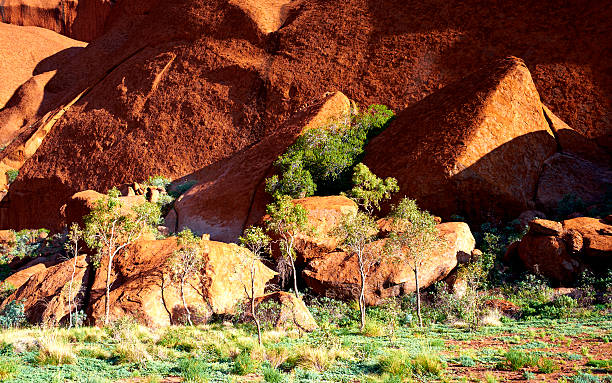 Valerie's Adventure Time | Explore Uluru: A Traveler's Guide to Ayers Rock Attractions & Tours