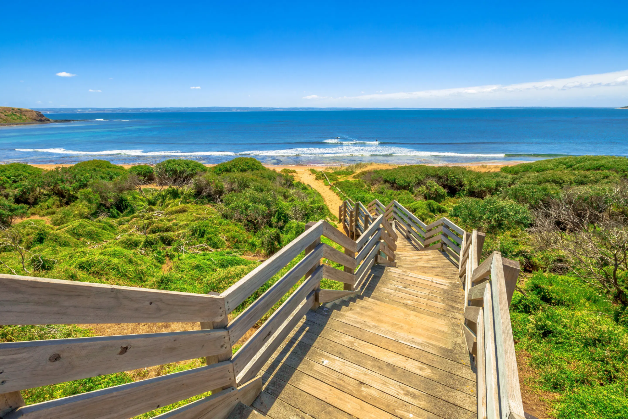 Discover the Wonders of Phillip Island with an Unforgettable Tour