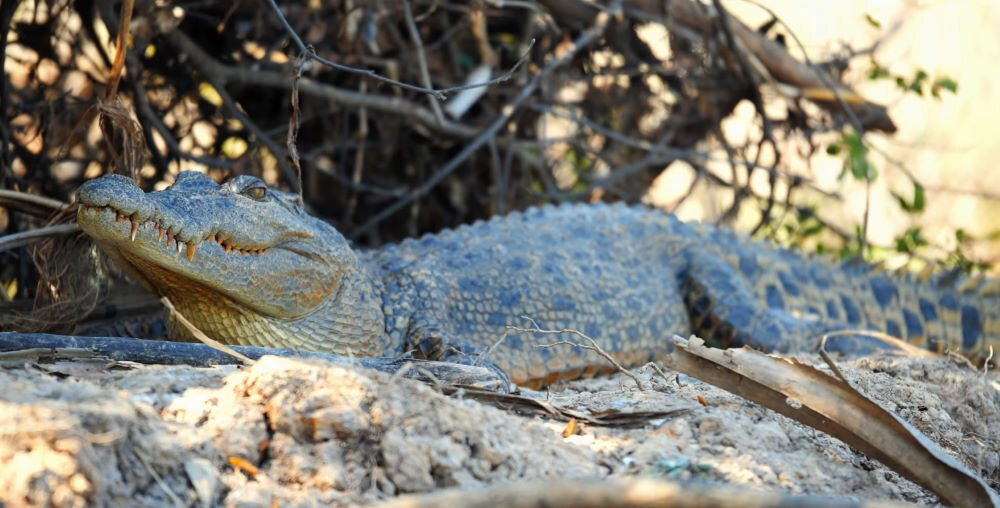 Valerie's Adventure Time | Discover the Wonders of Kakadu National Park | Australia's Natural & Cultural Gem