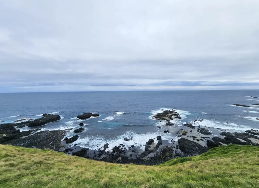 penguin parade tours from melbourne